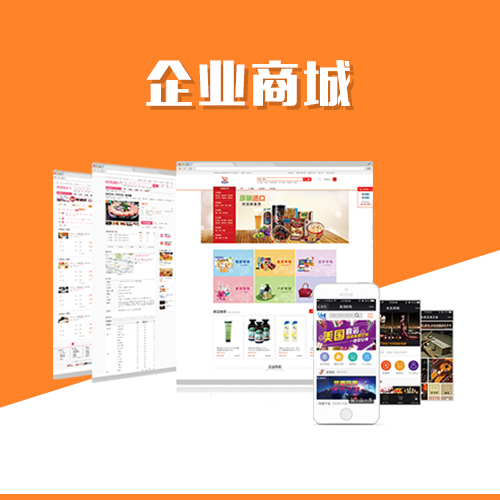 外贸网站跨境支付集成的风险管控