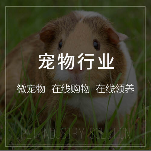 大连网站建设如何提升搜索引擎排名